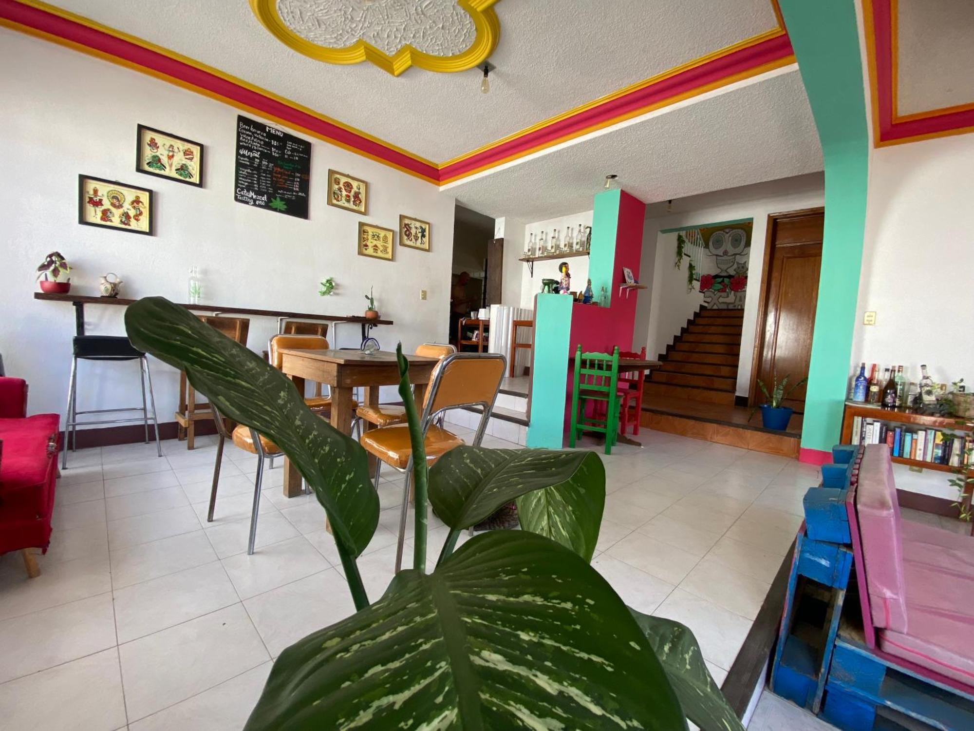 Casa El Mundo Vandrehjem Oaxaca Eksteriør billede